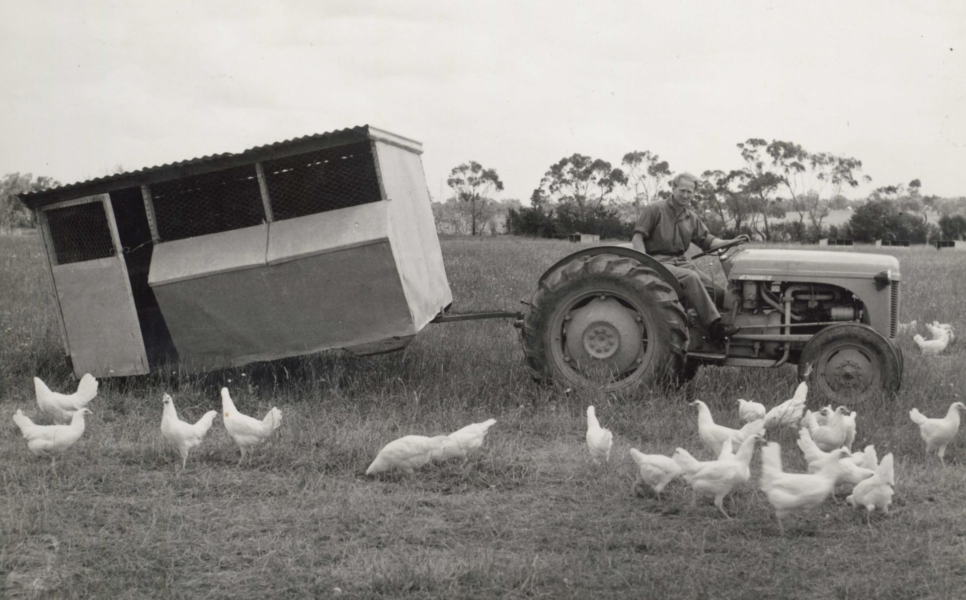 Ted Gearon with Tractor & chooks